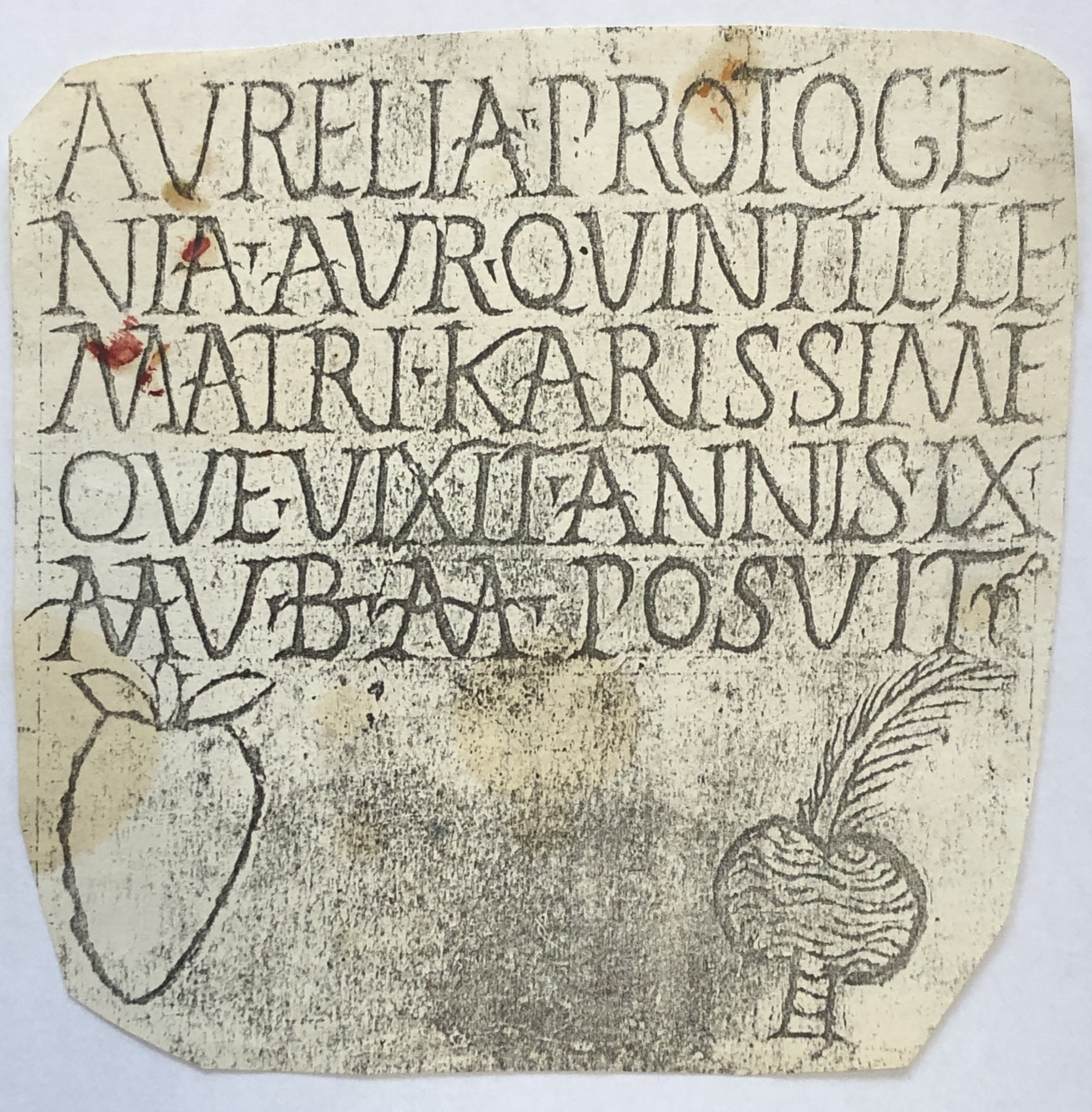Black-and-white xerox of a marble Burial Plaque&amp;nbsp;(c. 3rd-4th century, Rome) from the artist&amp;#39;s archive / Collection Nancy Graves Foundation, Inc., New York.

The plaque is in the collection of the Jewish Museum, New York, where Graves must have first seen it.

&amp;nbsp;