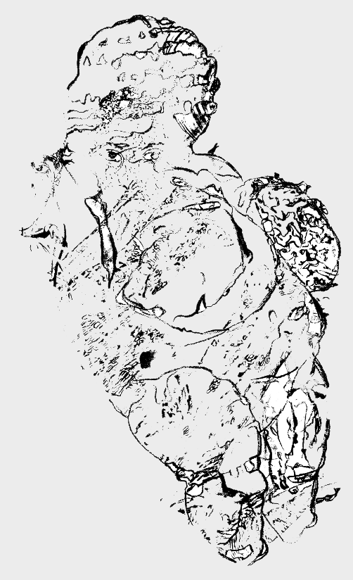 text 5 (Venus of Willendorf)