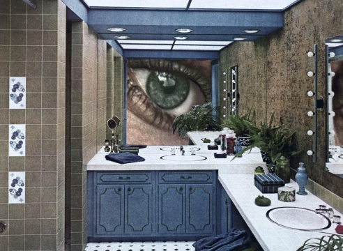 Martha Rosler, Bathroom Surveillance